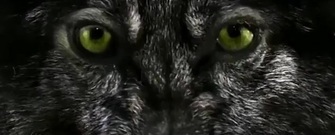 影视原声 - 人在江湖飘