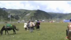 下马酒之歌(口琴)