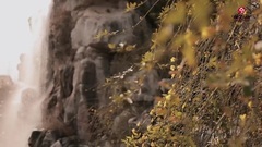 任妙音 - 梵唱 官方版