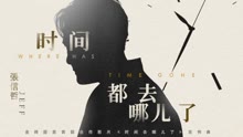 张信哲 - 时间都去哪儿了 电影《时间去哪儿了》宣传曲