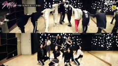 韩国综艺 - Stray Kids预告