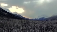 为爱所困,终见天日