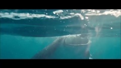 Andrew Rayel feat. Emma Hewitt – My Reflection