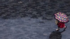 闲庭信步在雨中