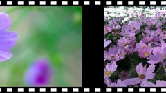 Ernesto Cortazar - Holding Your Hand