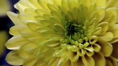 Ernesto Cortazar - DEEP IN MY SOUL