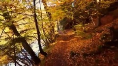 AUTUMN LEAVES - Frank Sinatra