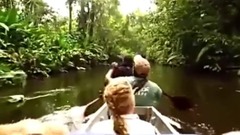 恐怖!食人鱼瞬间将牛啃成白骨