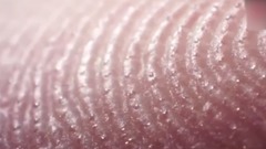 显微镜下看你的皮肤毛孔是如何出汗的?超级恶心!