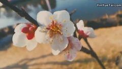 Die In Your Arms & 在你怀中死去