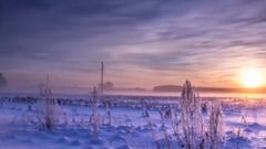 我从来没有忘记你