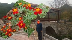 花开的时候来看我