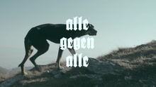 Zugezogen Maskulin - Alle gegen Alle