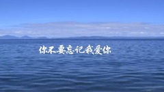 你不要忘记我爱你