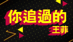 王菲 - 你追过的王菲
