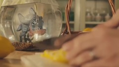 男孩被食人鱼攻击