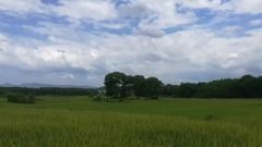 The Season of Harvest