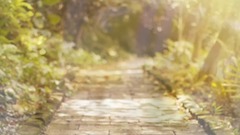 英国大提琴演奏家杰奎琳•杜普蕾作品<光影>