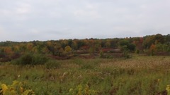 威斯康辛州的秋天