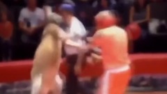 和袋鼠拳击比赛 结果下场就是这样的