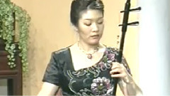 宋飞 - 江南春色 二胡独奏