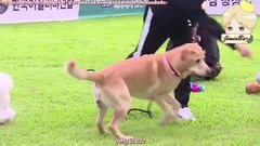 JIMIN(防弹少年团) - 跑弹 JIMIN CUT