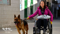 江一燕 - 电影《七十七天》动物版特辑