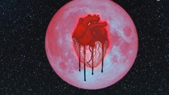 Chris Brown - Everybody Knows