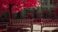 一袭烟雨,一座城