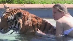 Living With Tigers Family Share Home With Pet Tigers