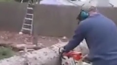 锯倒的大树瞬间又站直了,现场的小伙伴都惊呆了!