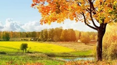 让心醉在音乐里 . yixin映画