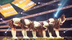 GFriend - 小女友的花路并不平坦 GFRIEND