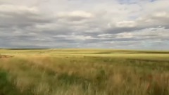 轻音乐 - 草原上升起不落的太阳(马头琴)