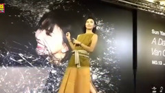 孙燕姿 - 孙燕姿No.13作品:跳舞的梵谷特展 开幕活动