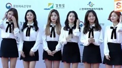 2017梦幻音乐会红地毯