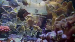 我从你身边走过