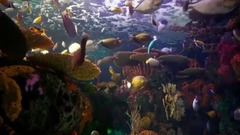 美丽遂宁我的家