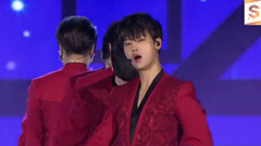 VIXX - 桃源境 - 2017平昌梦想演唱会现场版 17/11/04