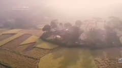 于红梅,轻音乐 - 喜送公粮(于红梅二胡)