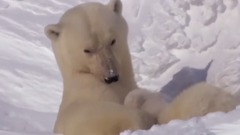 Enigma,音乐短片 - Enigma - Temple Of Love (HD)