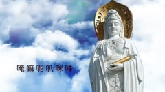 一指团体 - 真假中