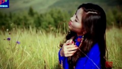 陪你一起看草原