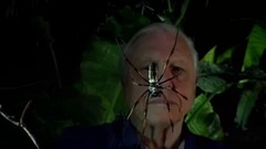 微型猛兽世界之旅E05.家族