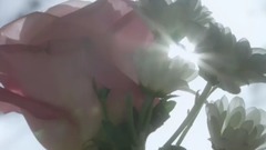 欧美群星 - Chasin'