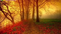 隔世离空的红颜