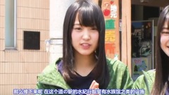 AKB48,乃木坂46,欅坂46 - 欅坂46 团队发展祈愿之旅 B-群馬編