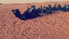 加藤ミリヤ - 加藤ミリヤinモロッコ/未来に近づく音の旅