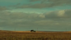 Ангелы и Демоны