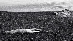 Katerine Duska - Apo Mesa Pethamenos